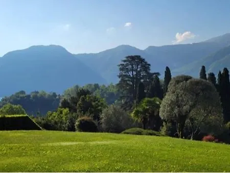 Degli Ulivi *
