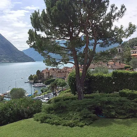 Degli Ulivi